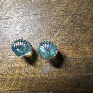 Shell gauges body jewelry